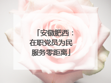 安徽肥西：在职党员为民服务零距离