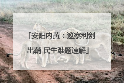 安阳内黄：巡察利剑出鞘 民生难题速解