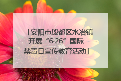 安阳市殷都区水冶镇开展“6·26”国际禁毒日宣传教育活动