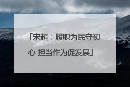 宋超：履职为民守初心 担当作为促发展