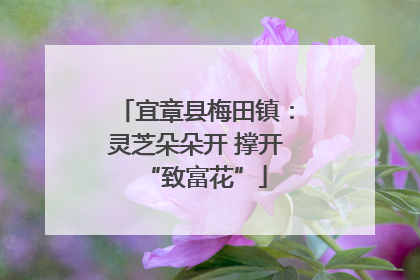 宜章县梅田镇：灵芝朵朵开 撑开“致富花”