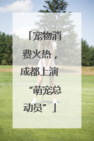 宠物消费火热，成都上演“萌宠总动员”