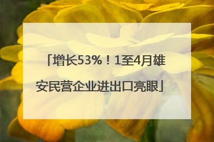 增长53%！1至4月雄安民营企业进出口亮眼