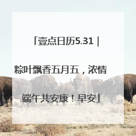 壹点日历5.31｜粽叶飘香五月五，浓情端午共安康！早安