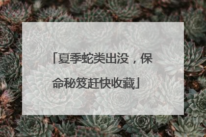 夏季蛇类出没，保命秘笈赶快收藏