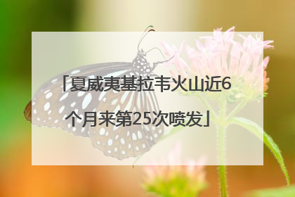 夏威夷基拉韦火山近6个月来第25次喷发
