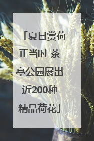 夏日赏荷正当时 茶亭公园展出近200种精品荷花