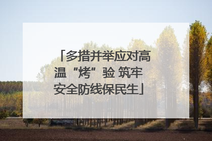 多措并举应对高温“烤”验 筑牢安全防线保民生