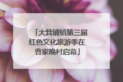 大箕铺镇第三届红色文化旅游季在曹家晚村启幕
