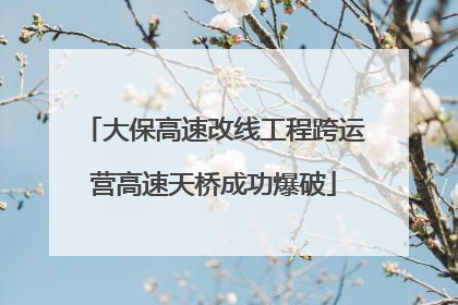 大保高速改线工程跨运营高速天桥成功爆破