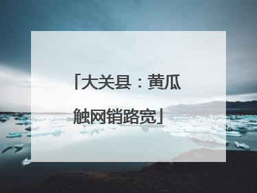 大关县：黄瓜触网销路宽