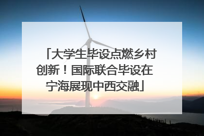 大学生毕设点燃乡村创新！国际联合毕设在宁海展现中西交融