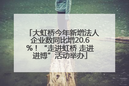 大虹桥今年新增法人企业数同比增20.6%！“走进虹桥 走进进博”活动举办