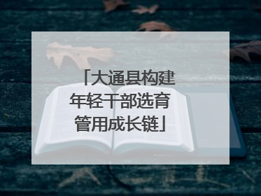 大通县构建年轻干部选育管用成长链