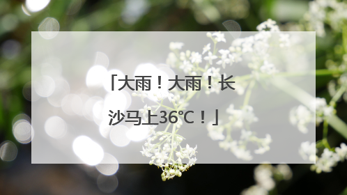 大雨！大雨！长沙马上36℃！