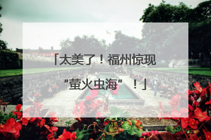 太美了！福州惊现“萤火虫海”！