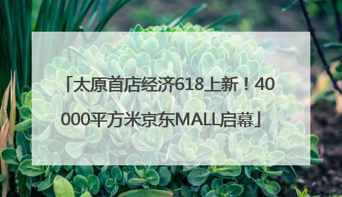 太原首店经济618上新！40000平方米京东MALL启幕
