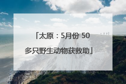 太原：5月份 50多只野生动物获救助
