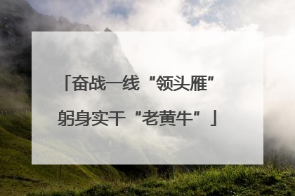奋战一线“领头雁” 躬身实干“老黄牛”
