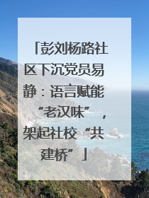 彭刘杨路社区下沉党员易静：语言赋能“老汉味”，架起社校“共建桥”