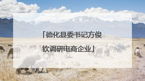 德化县委书记方俊钦调研电商企业