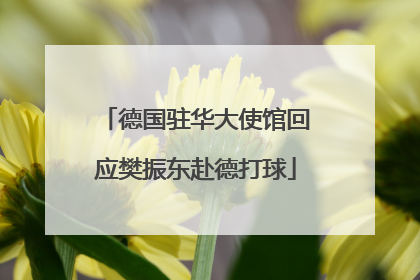 德国驻华大使馆回应樊振东赴德打球