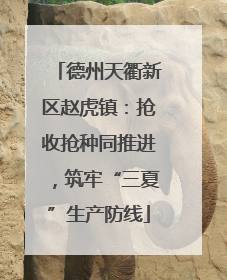 德州天衢新区赵虎镇：抢收抢种同推进，筑牢“三夏”生产防线