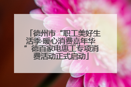 德州市“职工美好生活季·暖心消费嘉年华”德百家电惠工专项消费活动正式启动