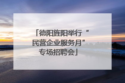 德阳旌阳举行“民营企业服务月”专场招聘会