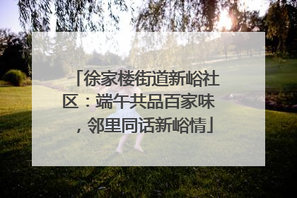 徐家楼街道新峪社区：端午共品百家味，邻里同话新峪情
