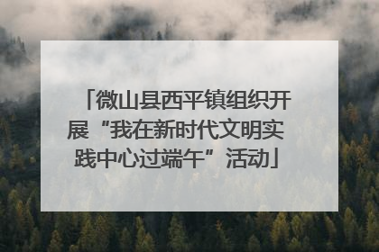 微山县西平镇组织开展“我在新时代文明实践中心过端午”活动