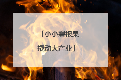 小小碧根果撬动大产业