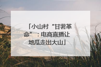 小山村“甘薯革命”：电商直播让地瓜走出大山