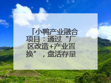 小鸭产业融合项目：通过“厂区改造+产业置换”，盘活存量，增值增效