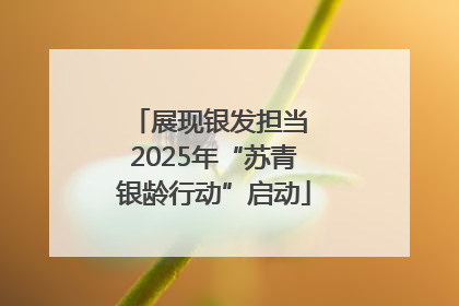 展现银发担当 2025年“苏青银龄行动”启动