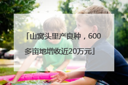 山窝头里产良种，600多亩地增收近20万元