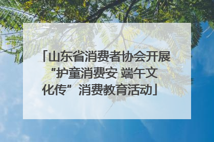 山东省消费者协会开展 “护童消费安 端午文化传”消费教育活动
