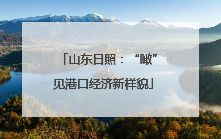 山东日照：“瞰”见港口经济新样貌