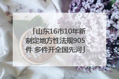 山东16市10年新制定地方性法规905件 多件开全国先河