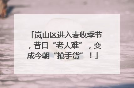 岚山区进入麦收季节，昔日“老大难”，变成今朝“抢手货”！