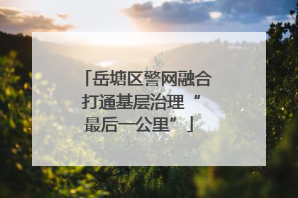 岳塘区警网融合 打通基层治理“最后一公里”