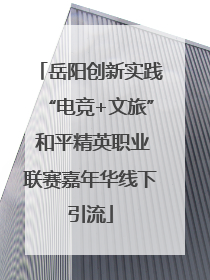 岳阳创新实践“电竞+文旅” 和平精英职业联赛嘉年华线下引流