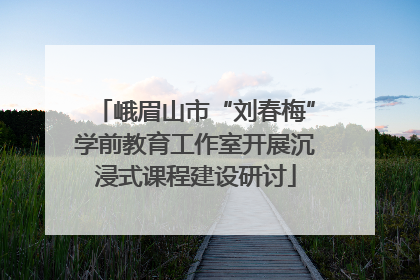 峨眉山市“刘春梅”学前教育工作室开展沉浸式课程建设研讨