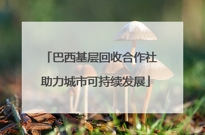 巴西基层回收合作社助力城市可持续发展