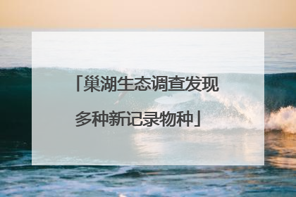 巢湖生态调查发现多种新记录物种