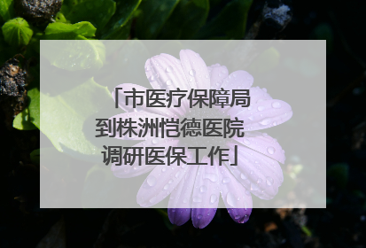 市医疗保障局到株洲恺德医院调研医保工作