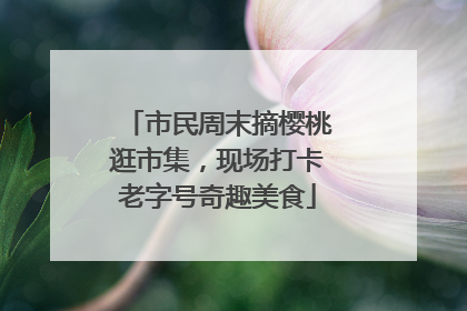 市民周末摘樱桃逛市集，现场打卡老字号奇趣美食