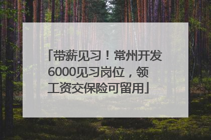 带薪见习！常州开发6000见习岗位，领工资交保险可留用