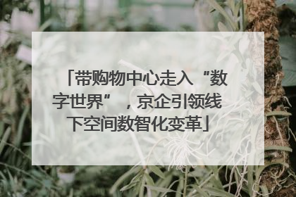 带购物中心走入“数字世界”，京企引领线下空间数智化变革