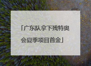 广东队拿下残特奥会夏季项目首金